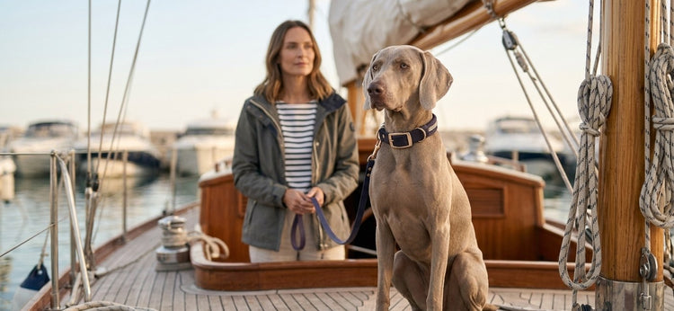 Maritime Hundehalsbänder und Leinen in Blau und Sand aus der Kollektion Ocean Dream