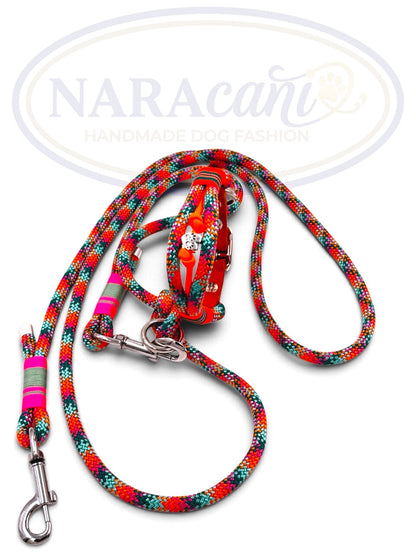 Set aus Bohemian-Paracord-Halsband mit Cognac-Leder und Multifunktionsleine, Gesamtansicht
