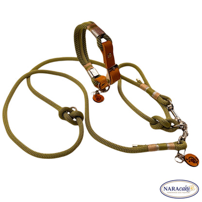 Set aus Paracord-Halsband Safari Dream und Multifunktionsleine in Olivgrün, Gesamtansicht