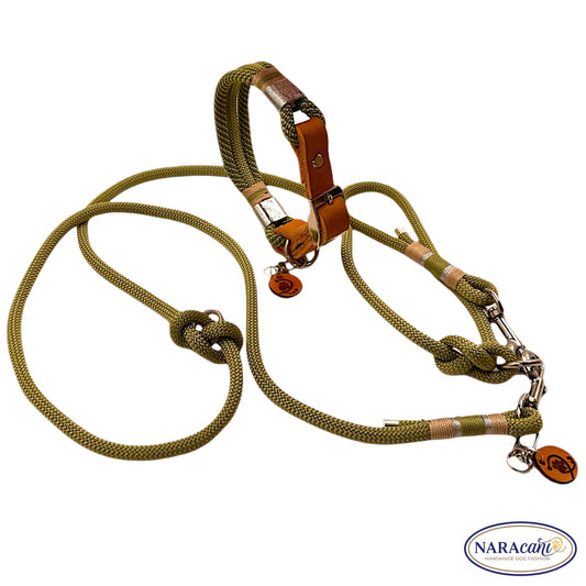 Set aus Paracord-Halsband Safari Dream und Multifunktionsleine in Olivgrün, Gesamtansicht