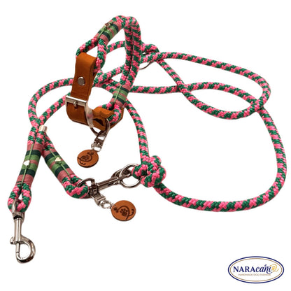 Sparset Fettleder Cognac Neon-Rosa Ice-Minz Halsband NARAcani