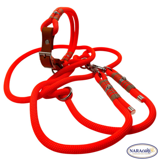 Sparset Hund Paracord Fettleder-Adapter Cognac-Neonorange 🐾 Halsband & Multifunktionsleine im Set 🐾 Loud & Crazy Takelung mit Schildkröte Silber 🐾 NARAcani Handmade