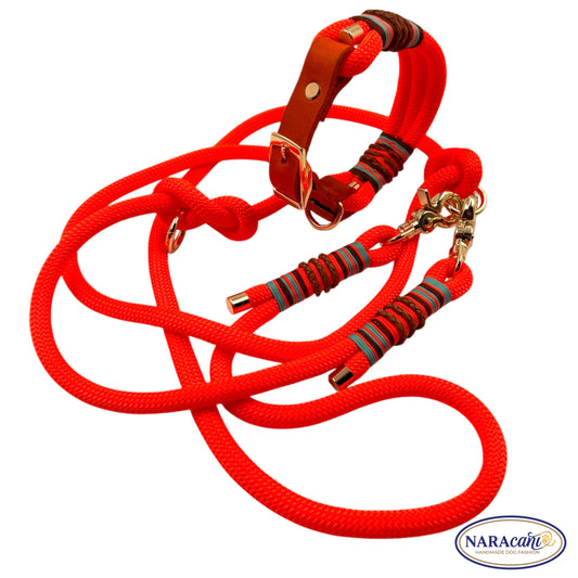 Sparset Hund Paracord Fettleder-Adapter Orange-Neonorange 🐾 Halsband & Multifunktionsleine im Set 🐾 Loud & Crazy Takelung Aqua-Schoko 🐾 NARAcani Handmade