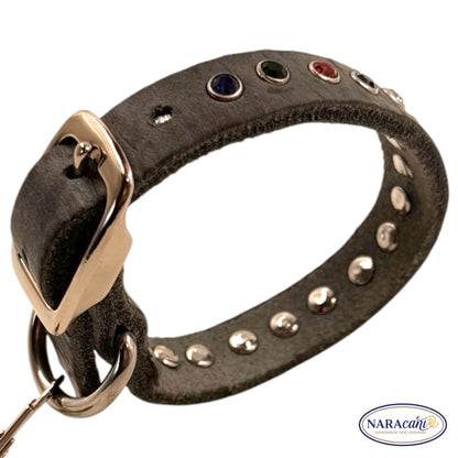 Hundehalsband Fettleder Grau Strass-Nieten 🐾 Dornschließe, Bunte Kristalle & Leder-Anhänger 🐾 Classic & Elegant 🐾 NARAcani