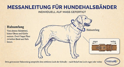 Cobraknoten-Flechtung aus beige-olivem Paracord auf dem Biothane-Band in Seegras, Nahaufnahme